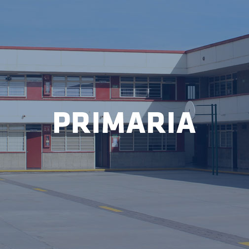 niveles-academicos-primaria-1